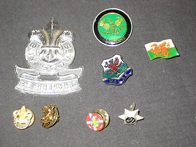 International Boy Scout Pin Lot Of 8 Pins           C10