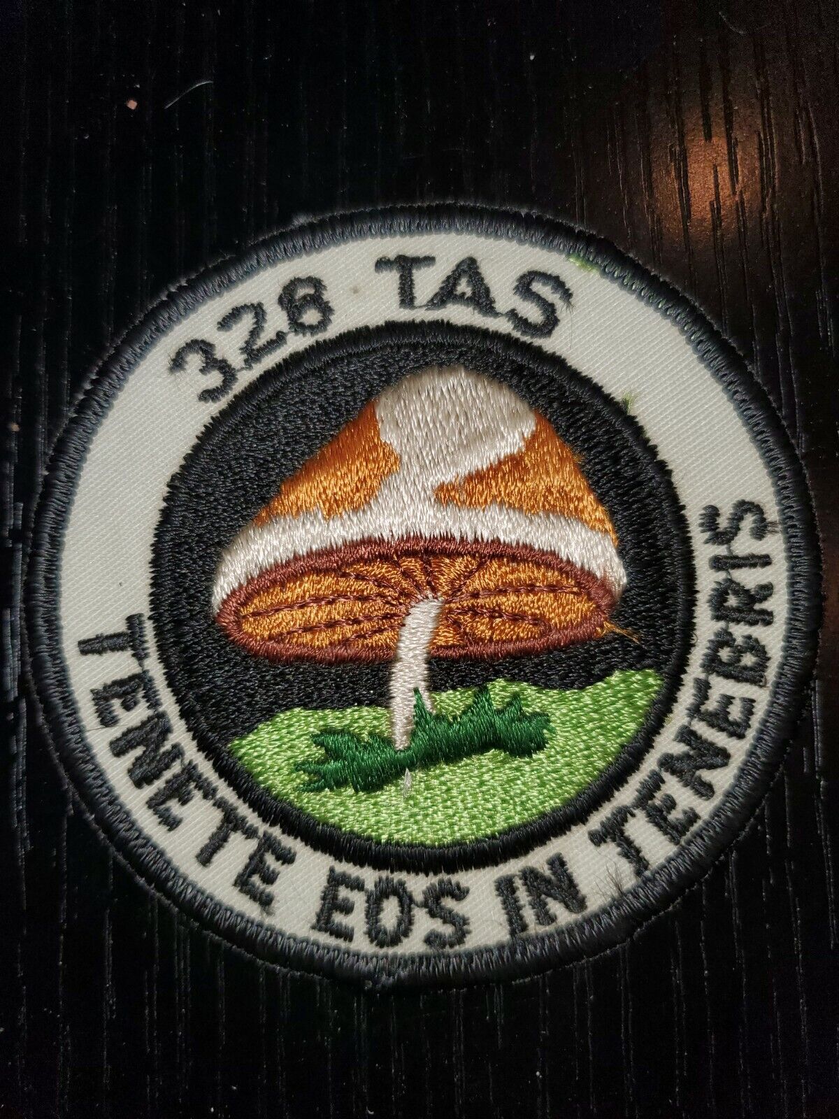 1960s 70s Usaf Air Force 328th Tass Squadron Patch L@@k!!!