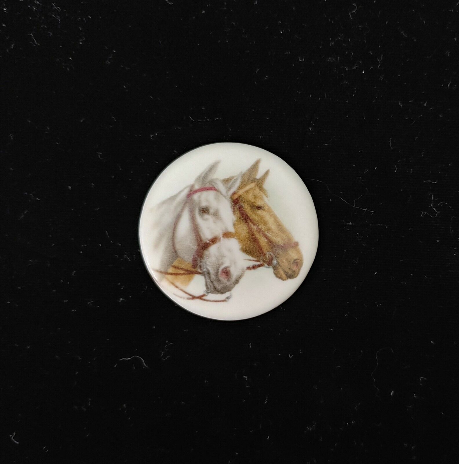 1 43mm Porcelain Cameo W/ Two Horses