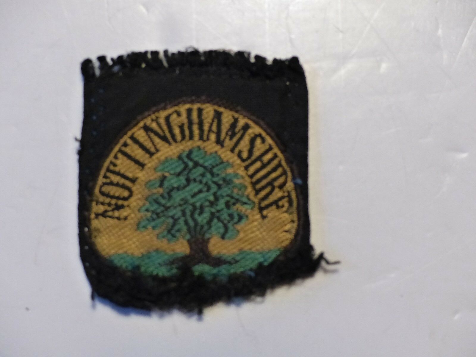 Used Vintage Nottinghamshire Boy Scout District Badge United Kingdom Tree Design