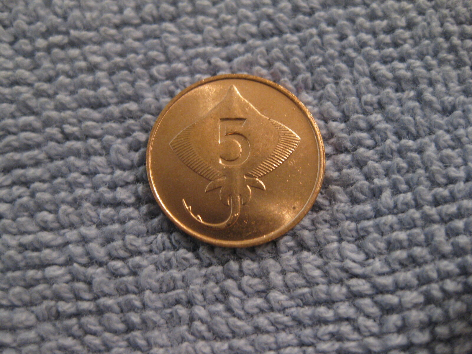 1981 Iceland Coin  5 Aurar  Skate Fish Uncirculated Beauty Animal Coin Ebayship