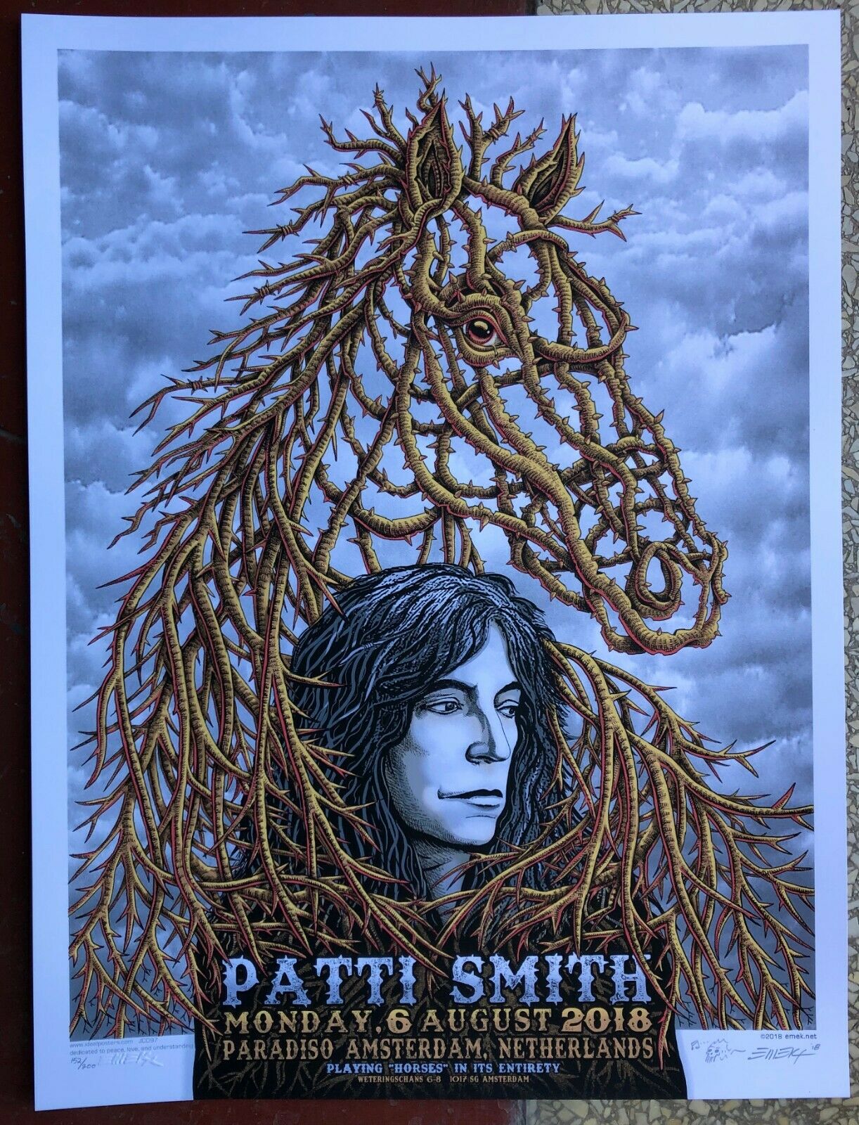 Beautiful Original Mint Patti Smith Amsterdam Concert Poster Emek Night1 Jc097