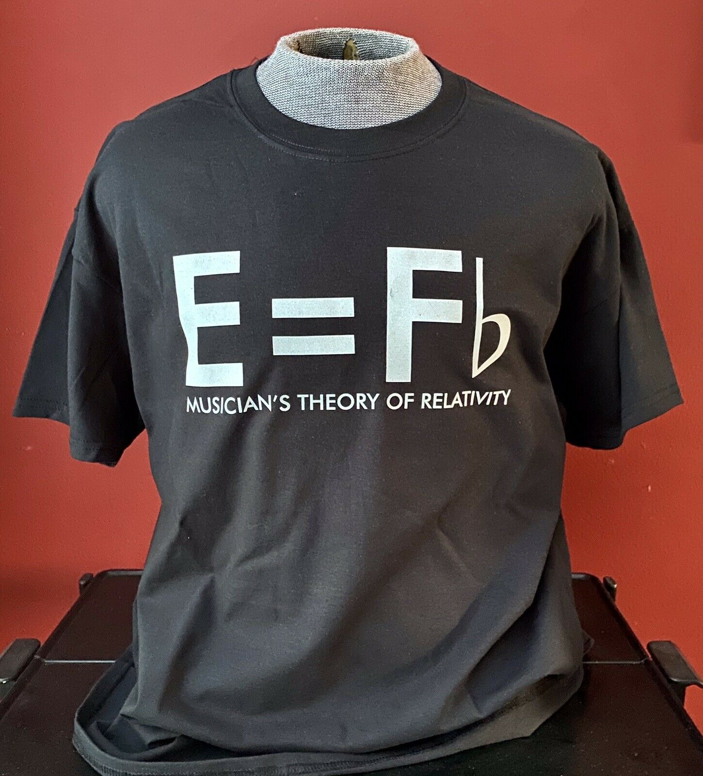E = Fb Theory Of Relativity Guitar  T-shirt Size Xl And All Other Sizes