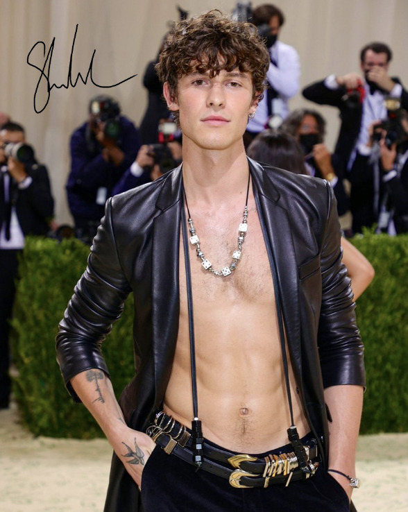 Shawn Mendes Signed Autographed Met Gala 8x10 11x17 13x19 Poster Shirtless Photo
