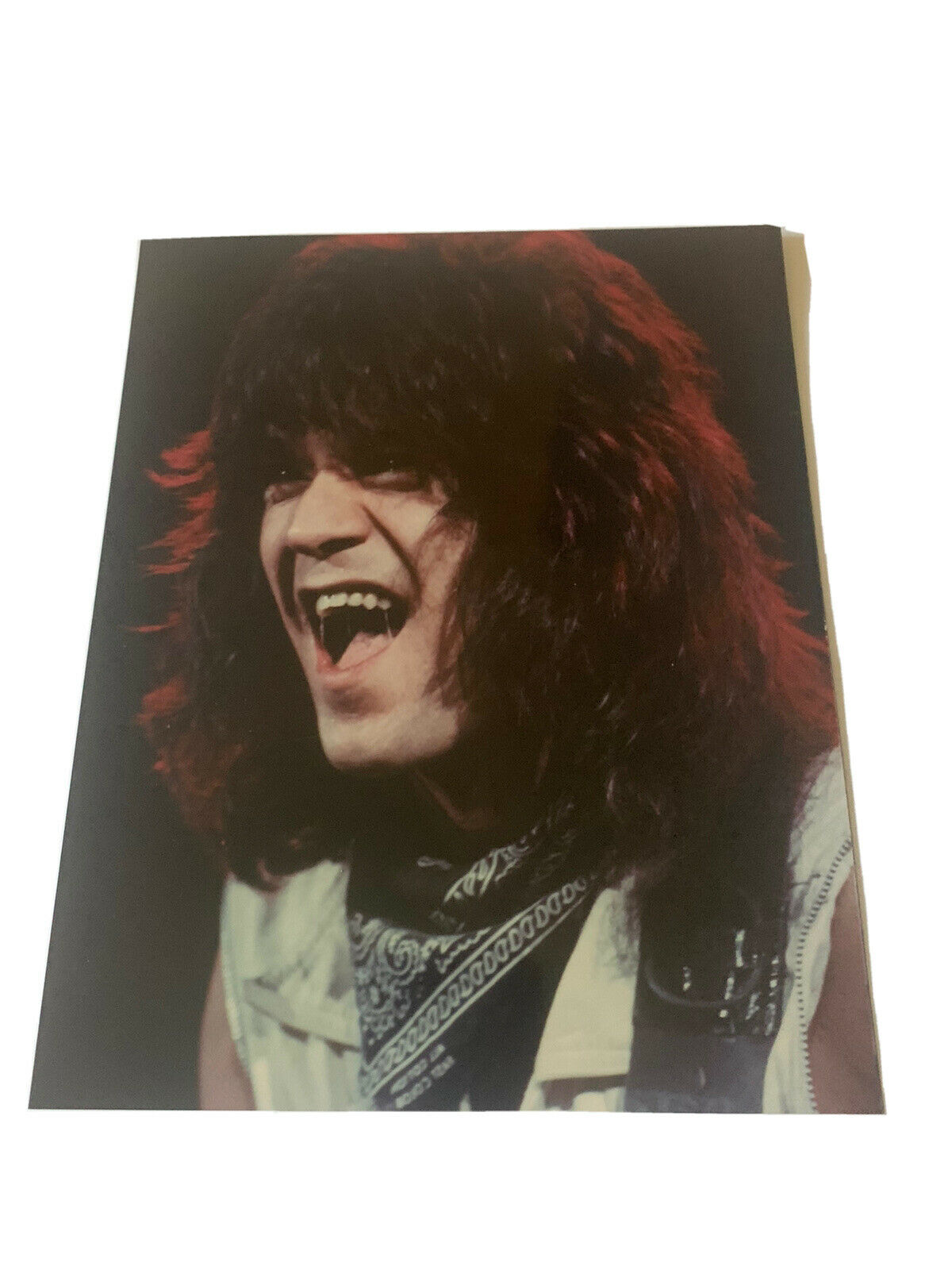 Eddie Van Halen Vintage Live 8x10 Concert Photo #31
